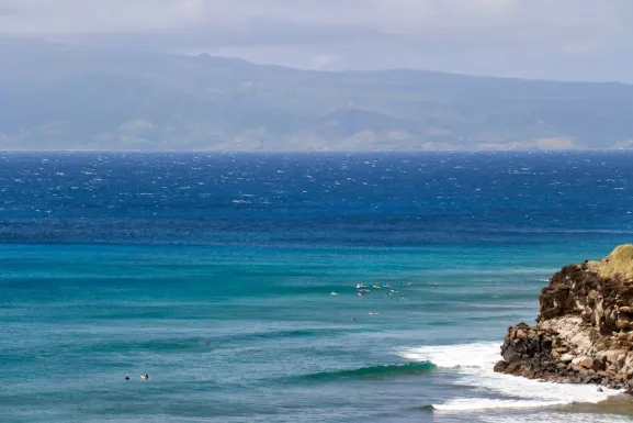 Kassu Casino Soporte